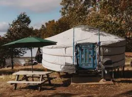 Cosy yurt at a nature retreat in Sequoia Forest