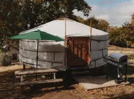 Glamping yurt at a nature retreat Sequoia Highland