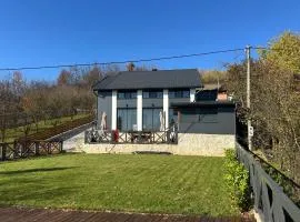 Vikendica Dedovina Negrišori