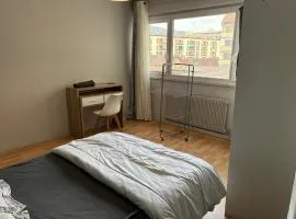 Green room - Wifi - Centre ville - Cosy