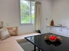 Little Hibiscus Aitutaki