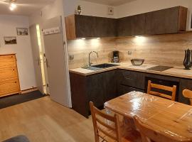 Appartement 4 personnes proximité centre et remontés mécaniques，位于沙泰勒的酒店