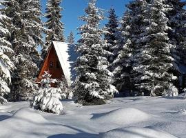 ZlatAir Eco Chalet，位于新瓦罗什的住宿