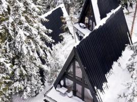 ZlatAir Black Boutique Chalets，位于新瓦罗什的住宿