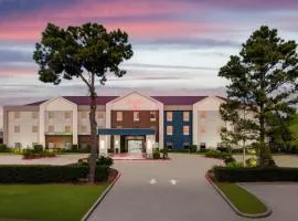 休斯敦迪尔公园船区希尔顿恒庭酒店