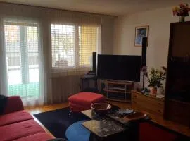 Appartement partagé avec couchage sur un grand matelas au sol au salon