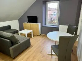 Cosy 6 - Belfort centre