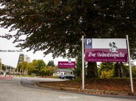 Gaststätte Zur Hahnenquelle，位于基希洪德姆的酒店