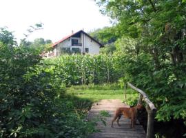 Erdőalja-Padlástér，位于Jásd的酒店