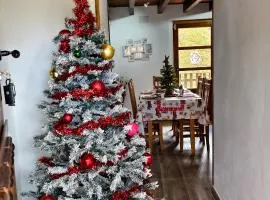 Roble Viejo Rural House