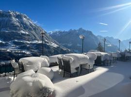 贝尔维尤酒店及自然别墅，位于塞利斯贝格的酒店