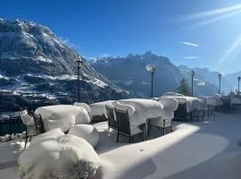 贝尔维尤酒店及自然别墅