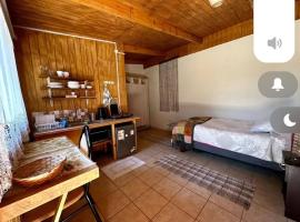 Departamento un ambiente，位于Coelemu的酒店