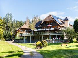 兰德豪斯劳博酒店，位于霍恩贝格的酒店