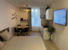 Studio Axel，位于沃苏勒的酒店