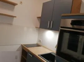 Central Apartments Chemnitz KASSBERG