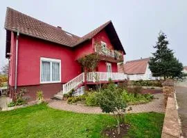 Spacious quiet apartment near Strasbourg