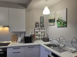 Camino Santiago Santiago Road