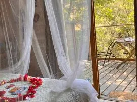 Cabane & Dîner Gourmet Inclus