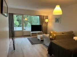 Kotimaailma - Tilava saunallinen kolmio Salossa