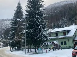 Penzión Borovica Stratená