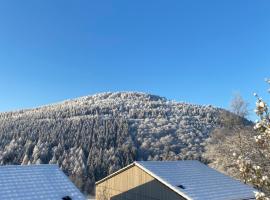 Sauerland Lodge - Haus Juliana，位于温特贝格的酒店