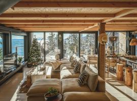 Chalet Eden Roc luxueux avec Jacuzzi et Sauna Privés 6 personnes，位于圣伊雷内的酒店
