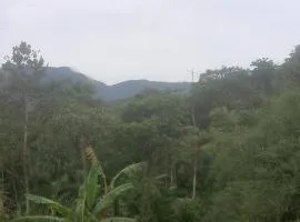 De la rosa y el canto de los pájaros