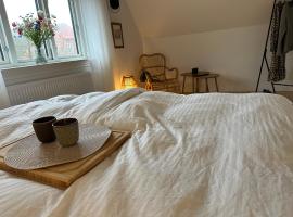 Modern & Unique property in Odense centrum - FREE PARKING，位于欧登塞的酒店