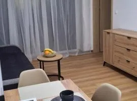 Apartament Sobieskiego nr 3, bezpłatny parking