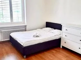 Superior Flat close to Zurich HB Uni