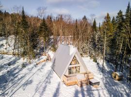 Canadian Classic - Spa - Sauna - Fire - Forest，位于瓦尔达维德的酒店