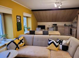 Malinowa 36 Apartamenty，位于霍伊尼采的酒店