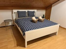 Ferienwohnung mit Herz，位于施维茨的酒店