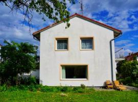 Cozy house with courtyard，位于慕尼黑的酒店