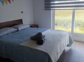 Departamento Céntrico Valdivia,Isla Teja