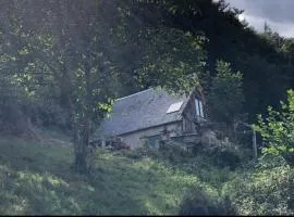 Une nuit en CABANE dans la Forêt
