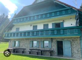 Apartma Ajdovka Rogla，位于Rakovec的酒店