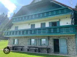 Apartma Ajdovka Rogla