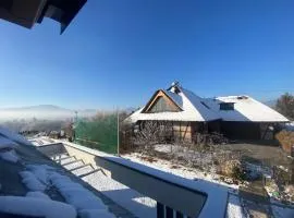 Chata pod strzechą w Beskidach