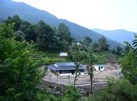 Green View, devalsari