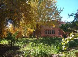 Palmas Magramane Ogandou