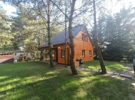 Domek nad jeziorem Wilczyńskim