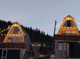 twin cottages，位于Goderdzi的酒店