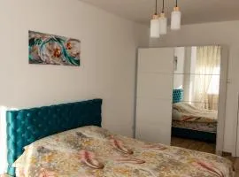 Apartmani Loznica Premia