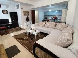 Ευρύχωρο και άνετο διαμέρισμα στην Ιτέα Joanna's Apartment