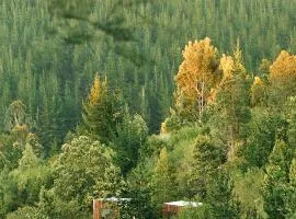 Serene Cabin in a Private Forest