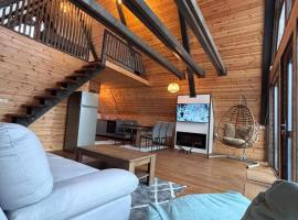 Transilvania Chalet，位于泽尔内什蒂的酒店