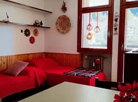 Il Monolocale del Weiss - ai piedi delle piste da sci