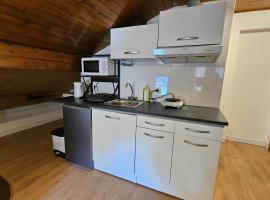 Mini cozy au MontBlanc，位于萨莱切的酒店